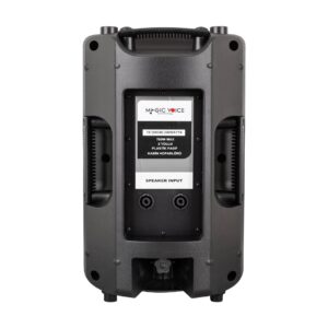 Magicvoice Mv-3415 38 Cm 700 Watt 15 Plasti̇k Kabi̇n Pasi̇f Hoparlör (köpüksüz Gönderi̇lmesi̇n)