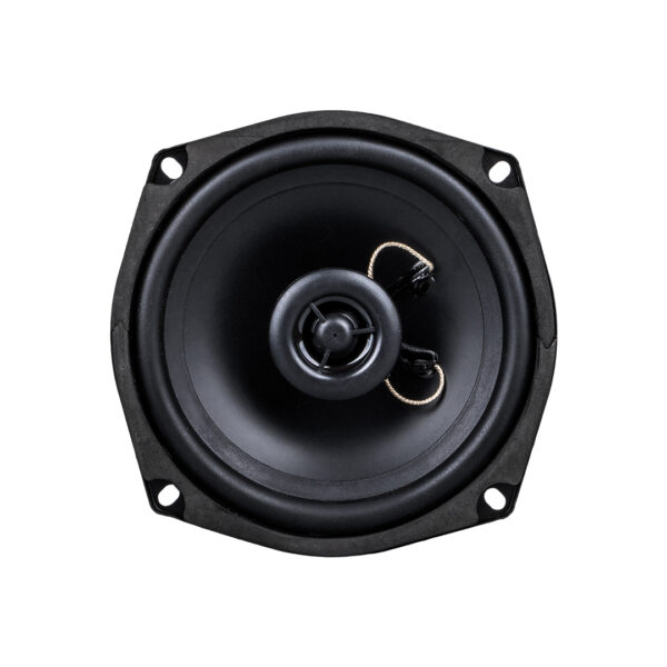 Westsound Th-06-cxt Ts-5250 5 13 Cm Çıplak Hoparlör - Görsel 2