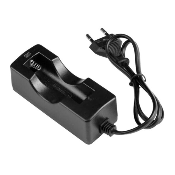 Powermaster Pmr-803c 18650 4.2v 1000ma Pi̇l Şarj Cihazı
