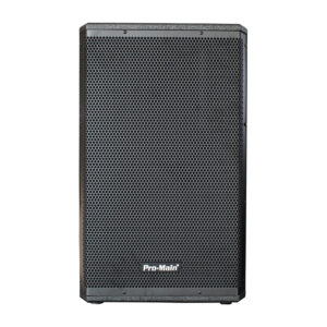 Promain Ms-1012ga 500 Watt 30 Cm Akti̇f Ahşap Kabi̇n Hoparlör