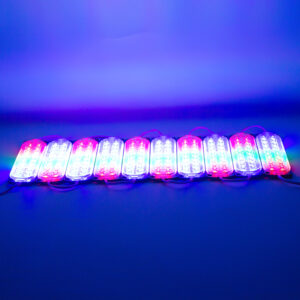 Powermaster Modül Led 12v 3.6w Rgb Flaşli Yanip Sönen 2835